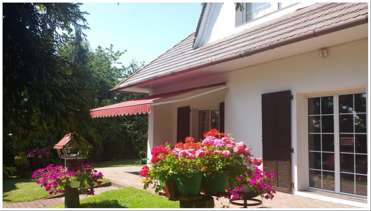 IMG-20220402-WA0001-1